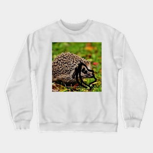 Nature's Harmony: Crewneck Sweatshirt